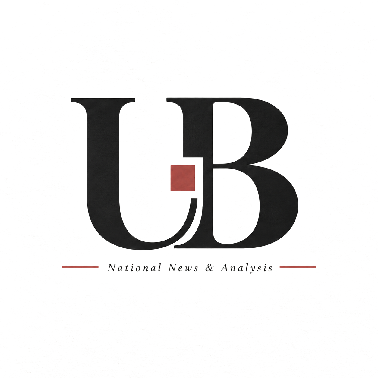 USA Brief
